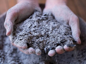 Пепел – хорошее удобрение, но подходит не для всего: какие растения нельзя им подкармливать