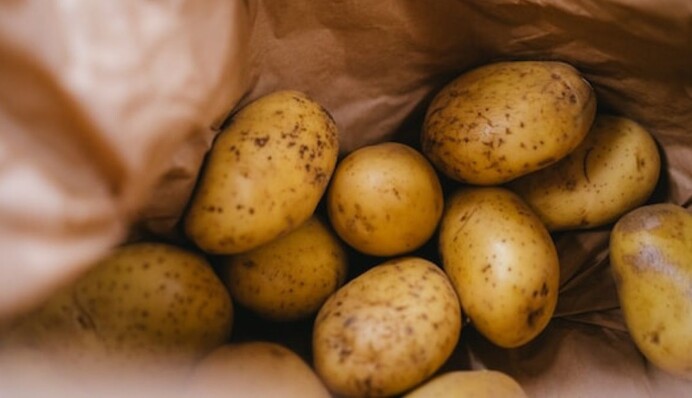 Чим обробити картоплю перед посадкою: народні методи для гарного врожаю