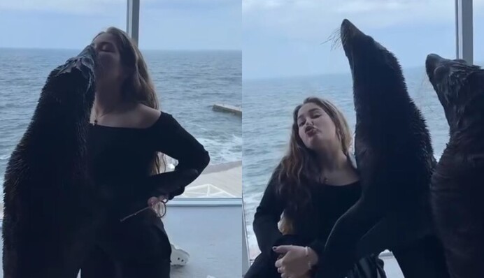 Это издевательство: зоолог прокомментировал объяснение дельфинария 