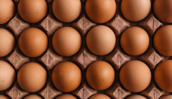 Сколько можно хранить вареные яйца и что из них приготовить: кулинарные советы