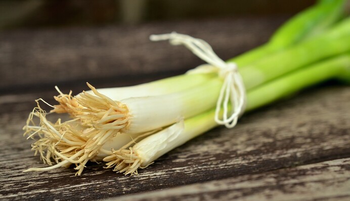 Чем подкормить лук, чтобы не желтел: рецепты для полива в апреле и мае