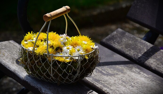 Как приготовить одуванчиковый мед, который содержит много витамина С: простой рецепт