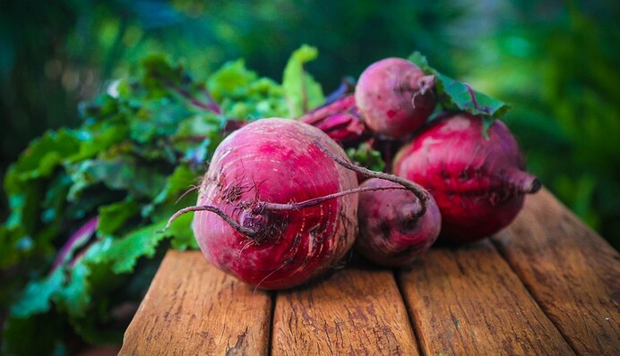 Буряки стануть солодшими завдяки простому і дешевому підживленню з сіллю