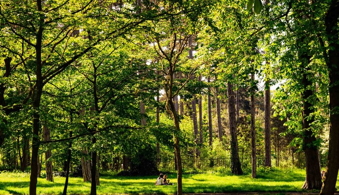 На Осокорках має з’явитися парк на честь Героя України: громада звернулась до мера Києва Віталія Кличка