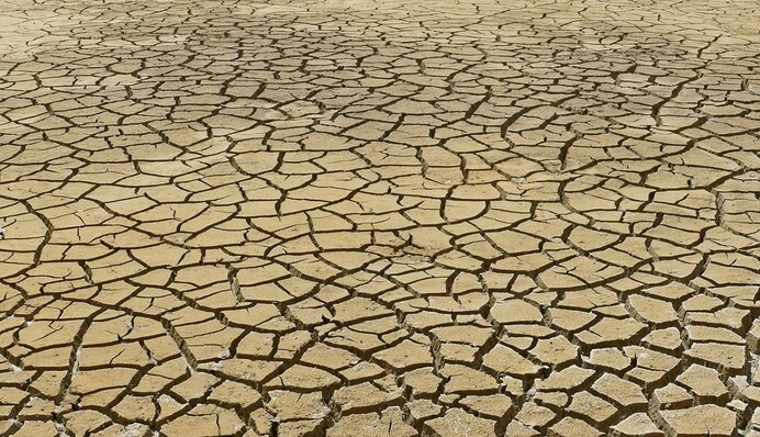 Підрив Каховської ГЕС: що буде з урожаєм в Україні