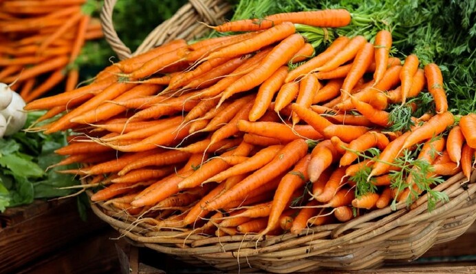 Відлякає морквяну муху і покращить ріст коренеплодів: дієвий засіб для підживлення моркви