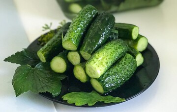 Будут готовы за сутки: как приготовить хрустящие малосольные огурцы в банке