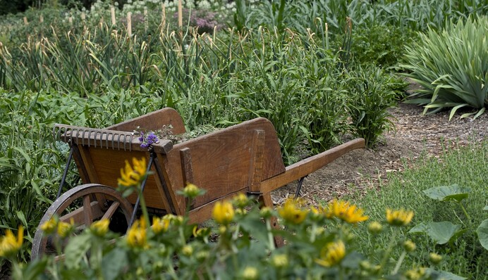 Какие дни в июле наиболее урожайные, а когда не стоит ничего сеять и сажать: лунный календарь