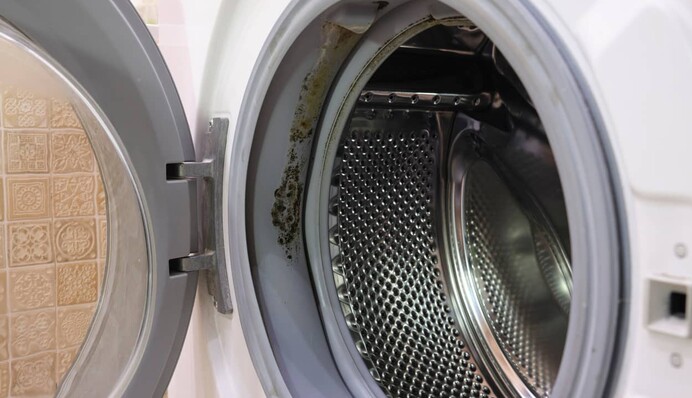 Дешевий домашній засіб допоможе позбутися цвілі у пральній машині: зникне навіть запах
