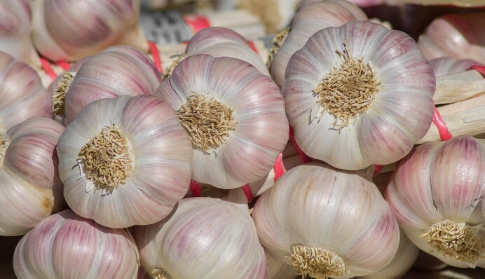 Як визначити, що часник достиг, і його пора викопувати: не пропустіть цей момент