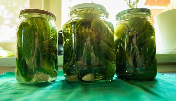 Хрустящие малосольные огурцы: как приготовить в пакете или 3-литровой банке