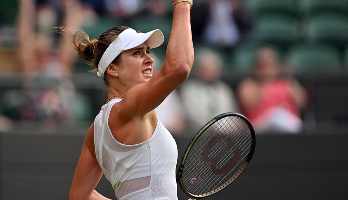 Гарри Стайлс поддержал Элину Светолину, пропустившую его концерт из-за турнира Wimbledon