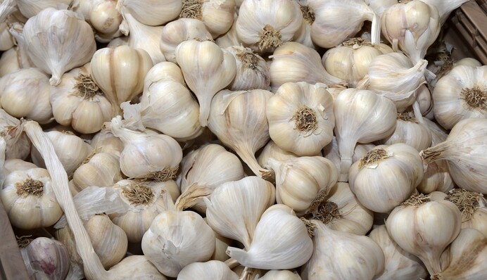 Розумний метод із сіллю допоможе довго зберігати часник в домашніх умовах
