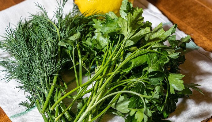 Отримаєте другий урожай до холодів: яку зелень посадити на городі у серпні