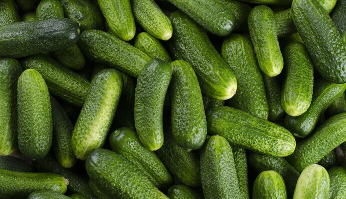 Навіщо огірки замочують перед консервацією і чи треба це робити