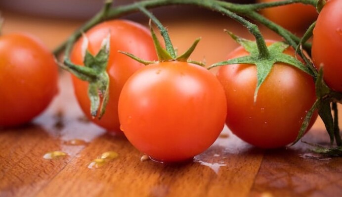 Консервація помідорів: прості і смачні рецепти, які стали хітами в інтернеті