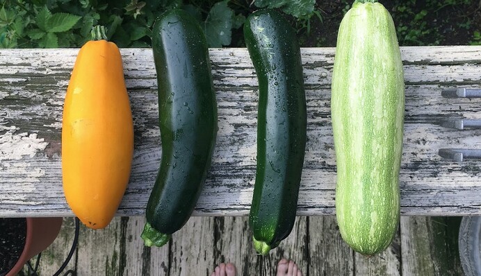 Суп-пюре, котлеты и намазка для бутербродов: блюда из кабачков, которые вы еще не готовили