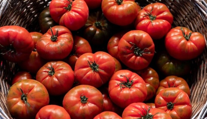 Будут готовы через 3 часа: самый быстрый рецепт маринованных помидоров