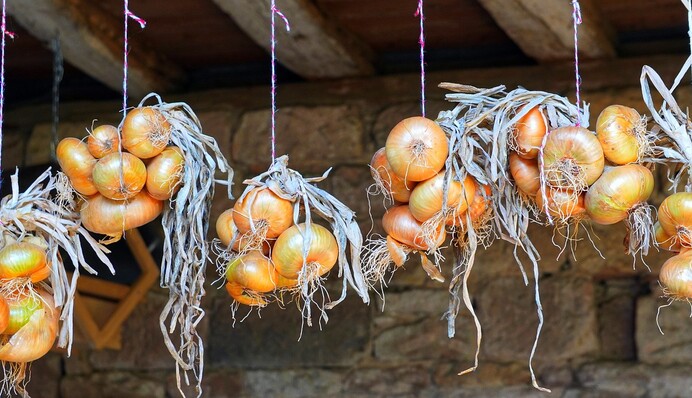 Чтобы не тратиться на лук зимой, следует правильно закладывать его на хранение: полезные советы
