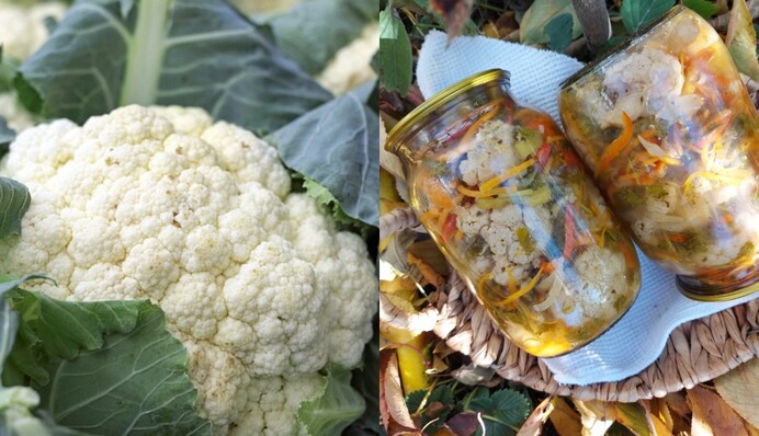 Популярний салат на зиму: як приготувати овочеве асорті з цвітною капустою, грибами і перцем