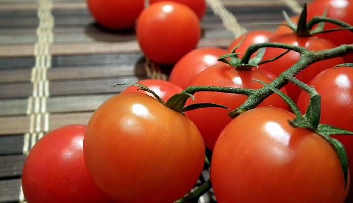 Останнє підживлення помідорів: чим обприскувати томати, щоб вони швидше достигали