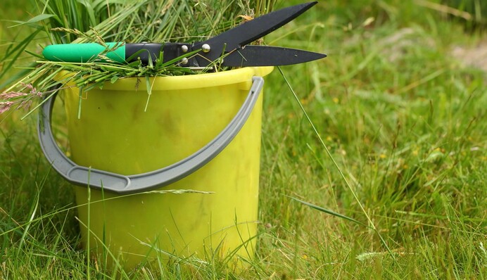 Понадобится весной: как сделать полезное удобрение из ботвы помидоров, кабачков, кукурузы