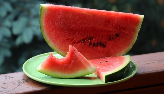 Арбузные корки – полезная подкормка для грядок: как сделать домашнее удобрение