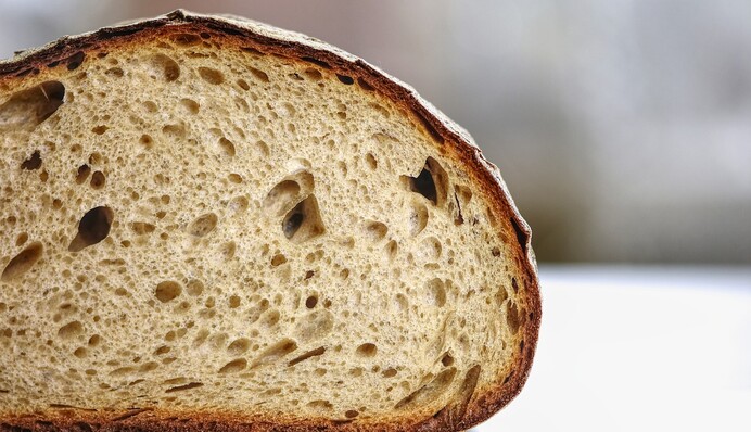 Не спешите выбрасывать заплесневелый хлеб: как сделать из него полезное удобрение