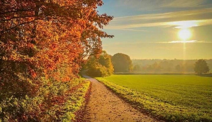 Час контрастів: яка погода чекає на Україну у вихідні