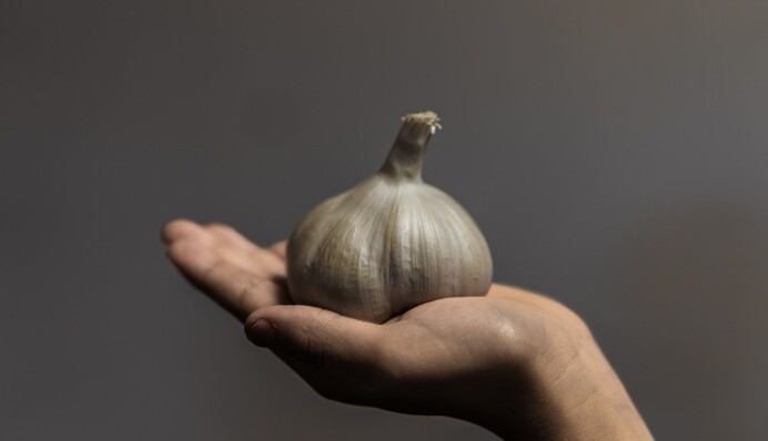 Чем обработать озимый чеснок перед осенней посадкой: способ опытных огородников