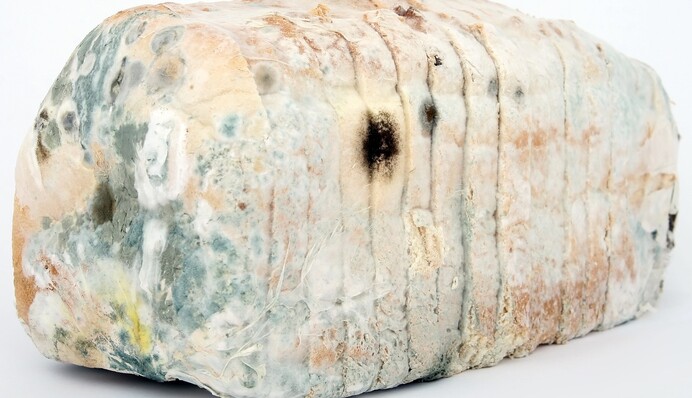 Как сохранить хлеб свежим и без плесени: умный кухонный лайфхак