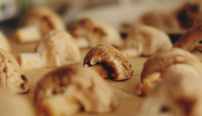 Как готовят грибной суп в Карпатах: гуцульский рецепт, который стоит попробовать