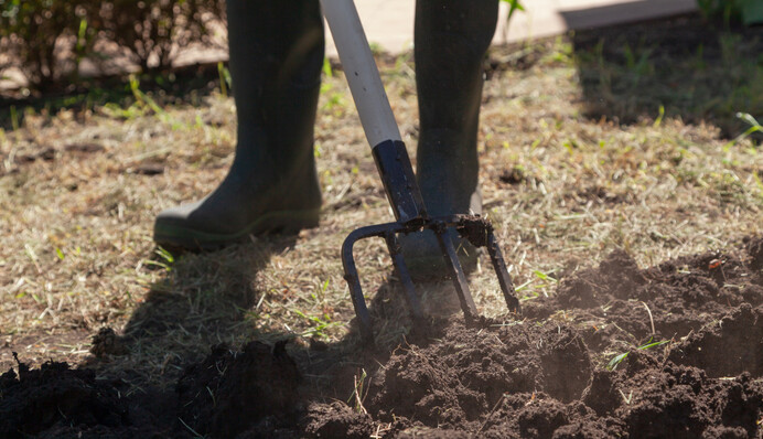 Как оздоровить почву осенью: полезные подкормки, которые помогут земле отдохнуть