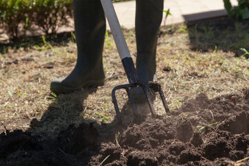 Як оздоровити ґрунт восени: корисні підживлення, які допоможуть землі відпочити