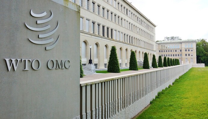 От друзей до исков: чего ждать от зерновых разборок Киева с соседями