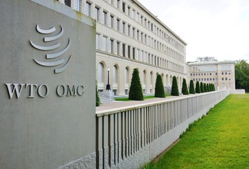 Від друзів до позовів: чого чекати від зернових розбірок Києва з сусідами