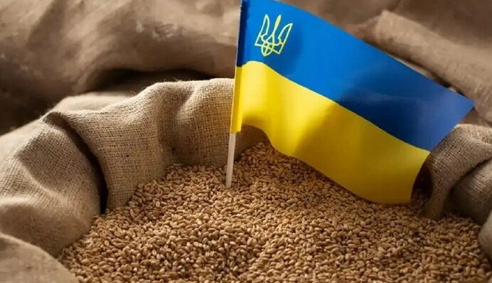 Зерно спотикання: чому Україні не варто сваритися з сусідами