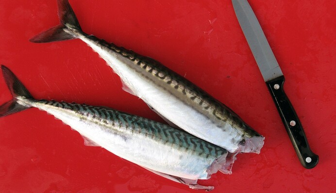 Оригинальный способ приготовления скумбрии, который следует добавить в книгу рецептов