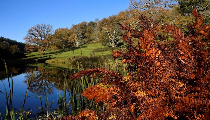 Три дні контрастів: яка погода буде в Україні у вихідні