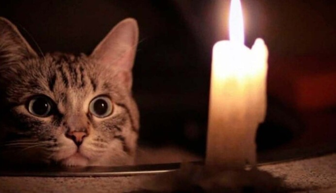 Кот в помощь: как украинцам спастись во время зимнего блэкаута