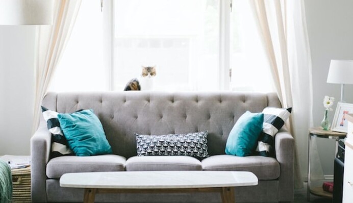 Як освіжити диван: позбутися плям і запаху допоможуть сіль, оцет і чайні пакетики