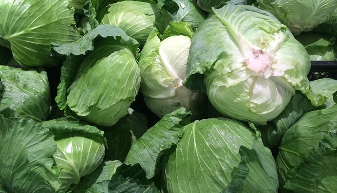 Чому капуста не зав'язалася: поширені помилки городників і способи їх виправлення