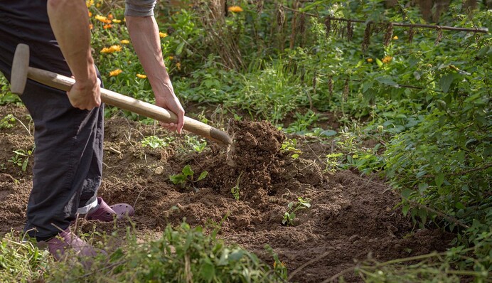 Календарь садовода на октябрь 2023 года: какие дни лучше всего подходят для работы на огороде