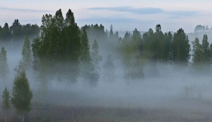 Даже тепловизоры не помогут: какая погода воцарится на фронте в ближайшие дни