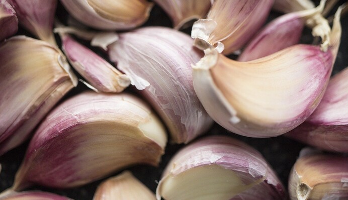 Соляной раствор, фитоспорин и другие средства для обработки озимого чеснока перед посадкой