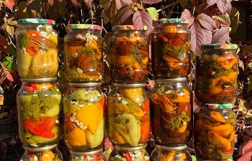 Цей рецепт болгарського перцю люблять за простоту: як приготувати його на зиму