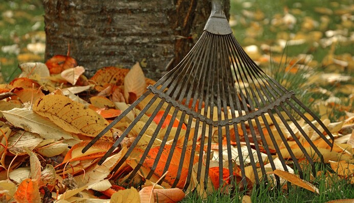 Треба встигнути до морозів: список важливих осінніх робіт на городі і в саду