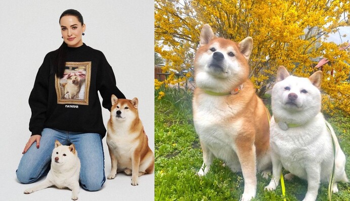 Просто помер у клітці: Даша Астаф'єва розповіла, як у ветклініці занапастили її улюбленця