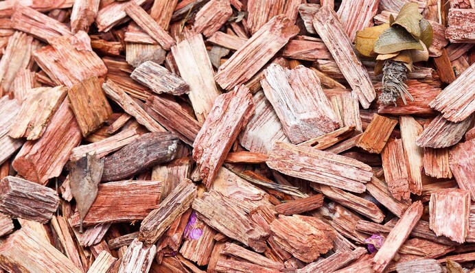 Чем мульчировать деревья и кустарники на зиму, чтобы защитить их от морозов