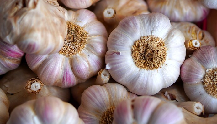 Чем подкормить грядку перед посадкой озимого чеснока: лучшие осенние удобрения